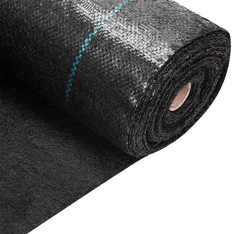 Ac perforat buruieni Mat